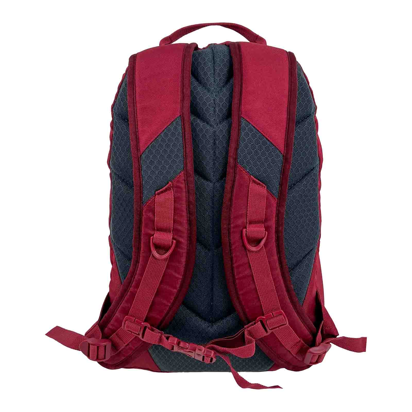 Analyzing image Black-Wolf-Booderee-20l-Tibetan-Red-Harness