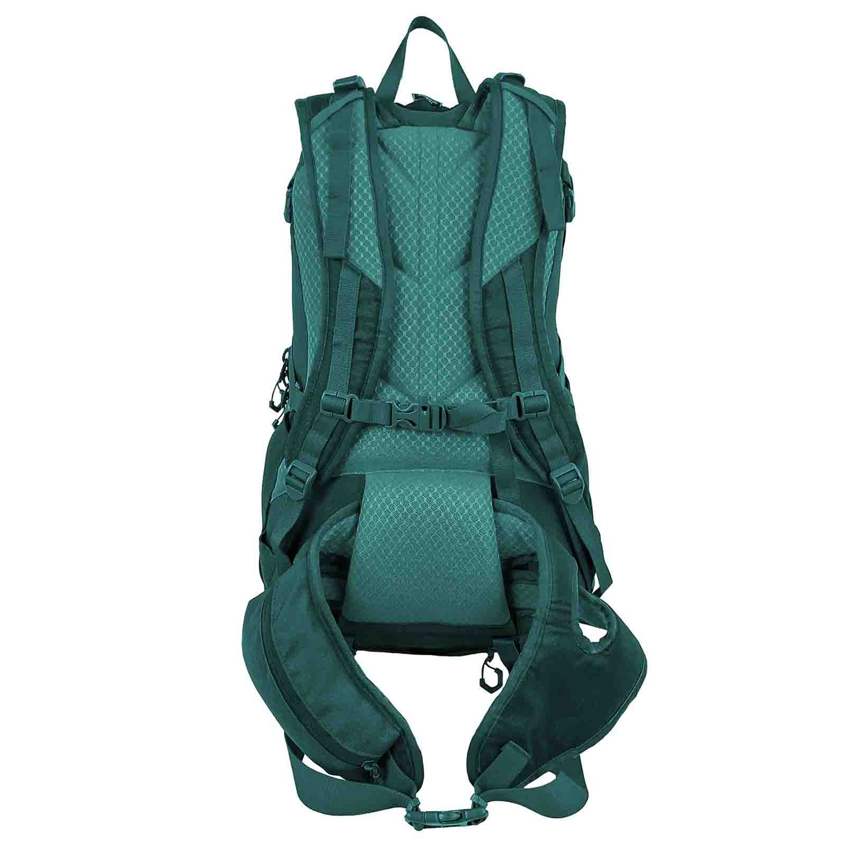Analyzing image Black-Wolf-Garigal-30l-Quetzal-Green-Harness