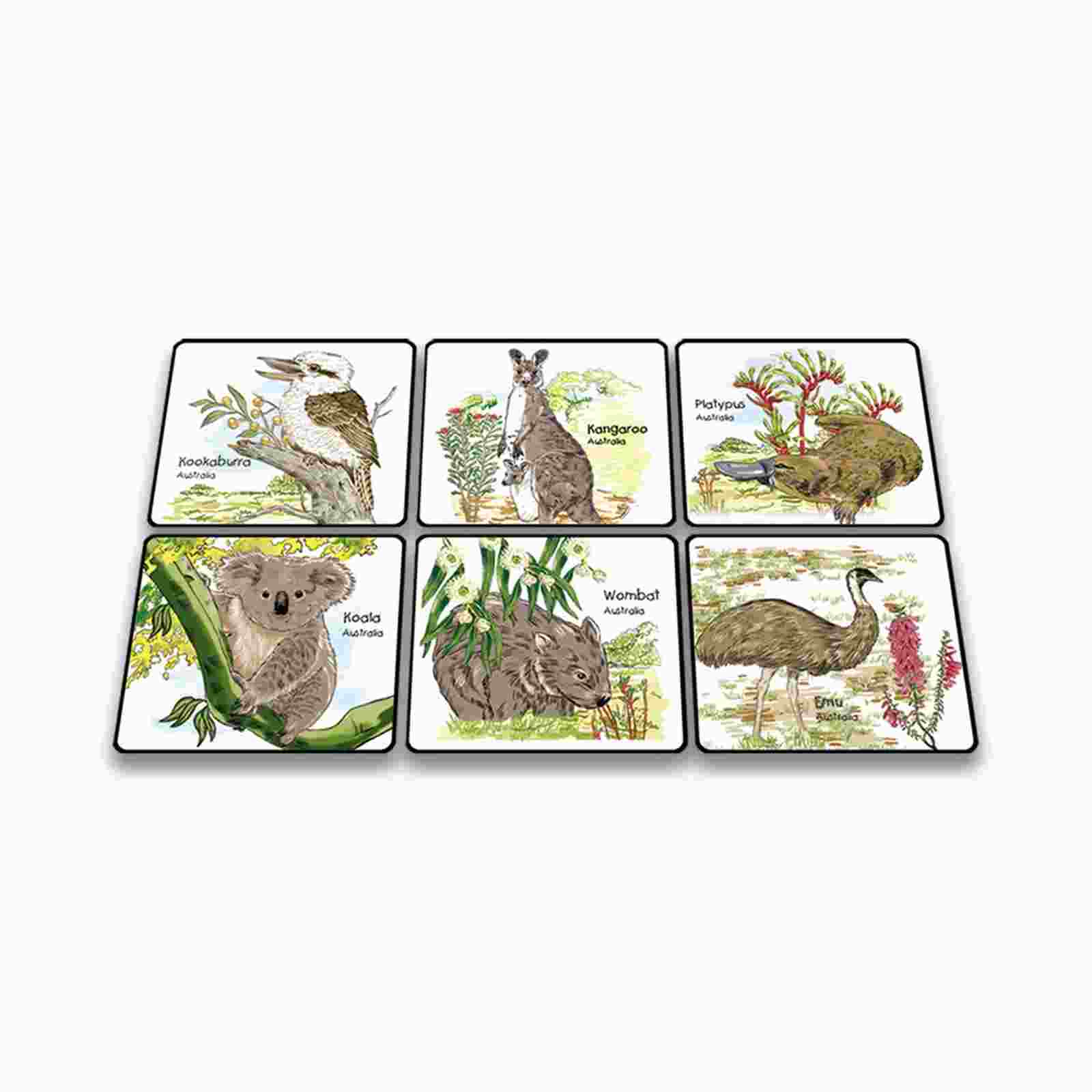 Coaster-6-Pcs-Boxed-Aus-Flora-Fauna