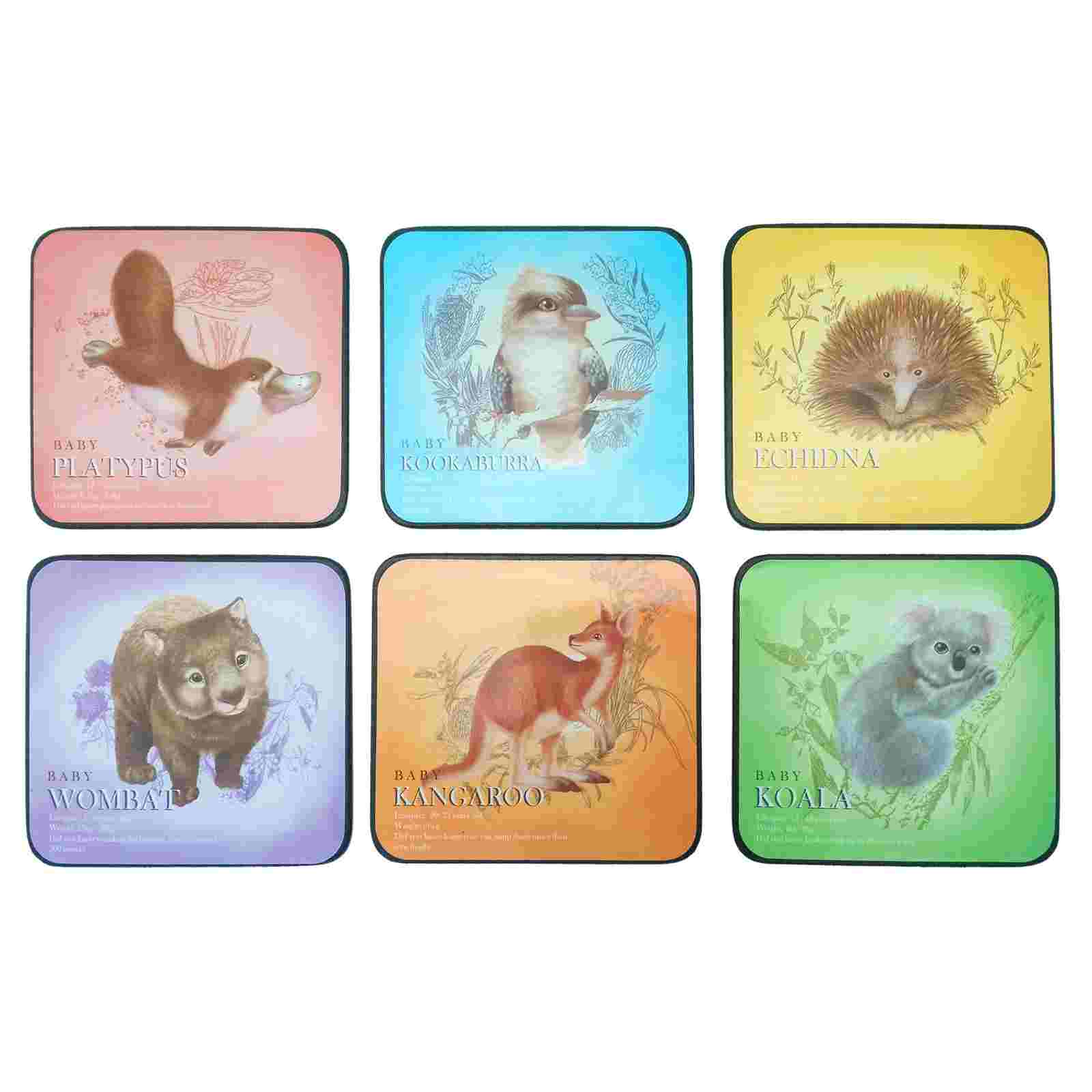 Coaster-6-Pcs-Boxed-Colourful-Animals