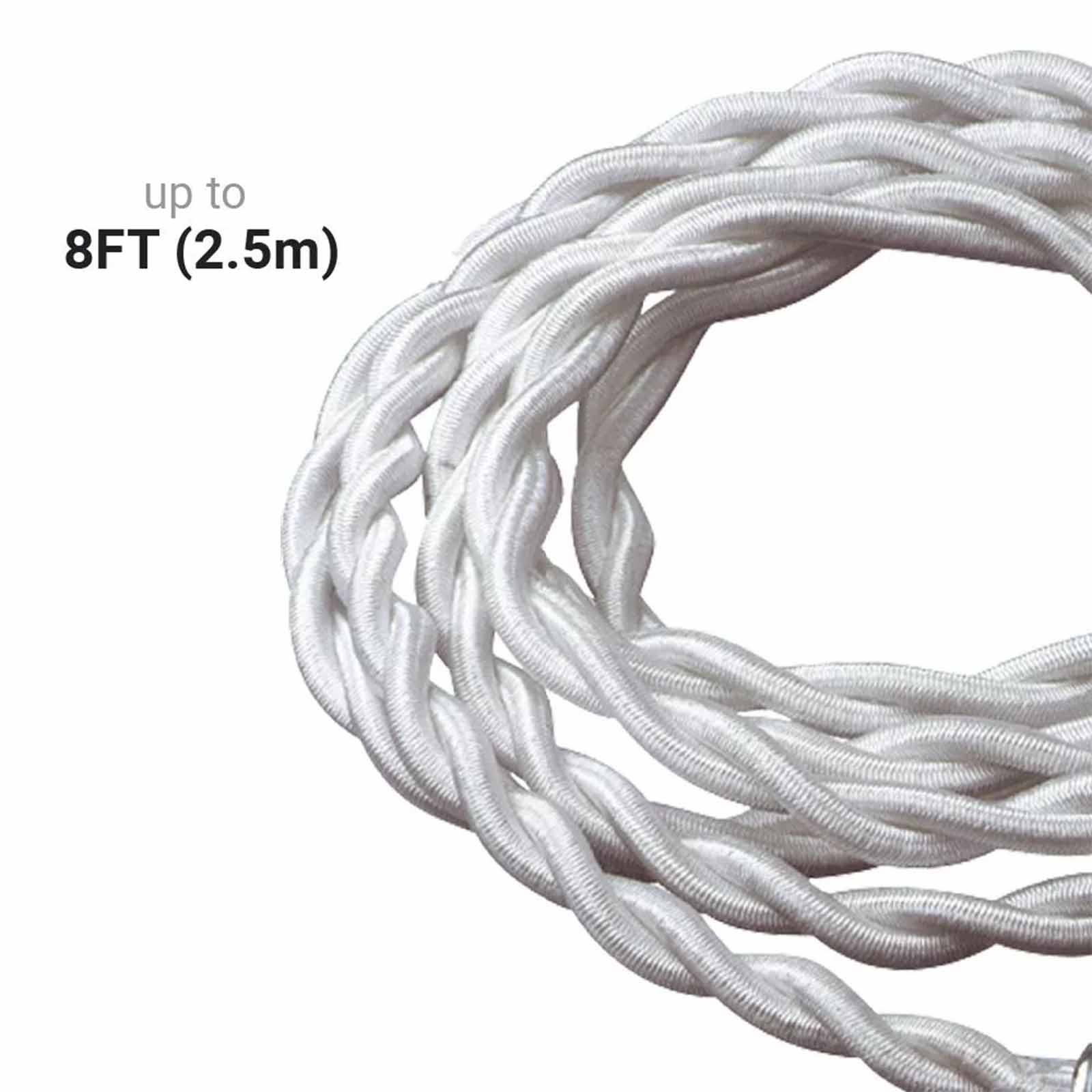 Pegless washing line with suction cups on a white background