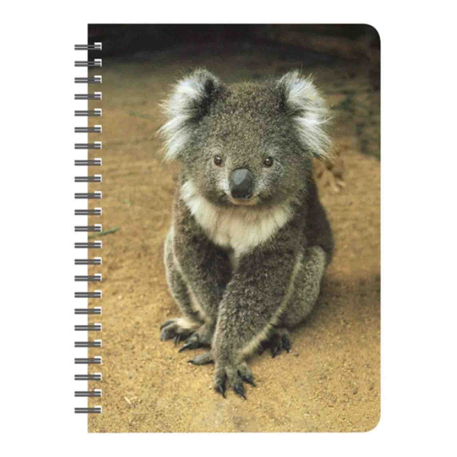 Notebook-Spiral-Koala