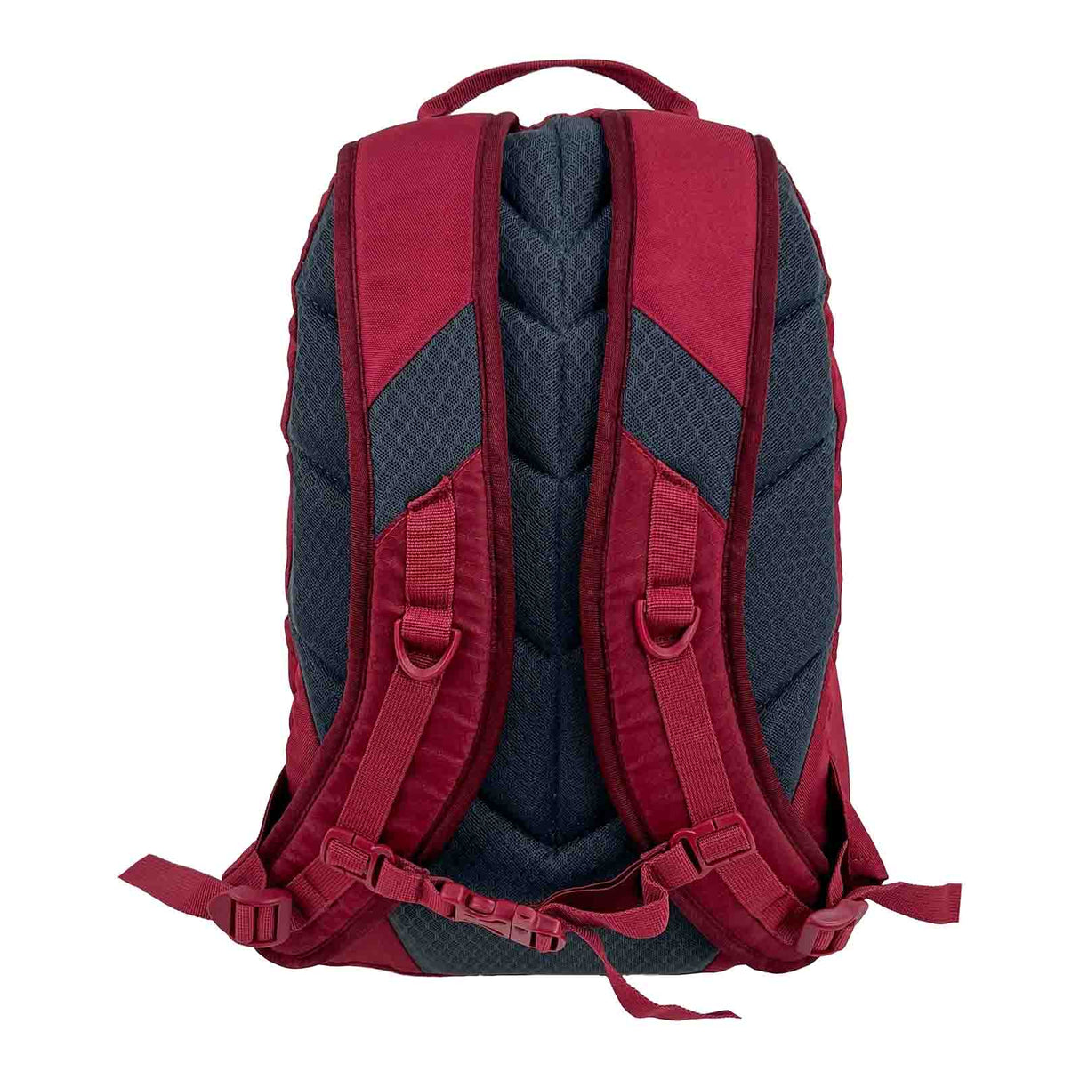  Analyzing image     Black-Wolf-Booderee-20l-Tibetan-Red-Harness