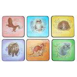 Coaster-6-Pcs-Boxed-Colourful-Animals