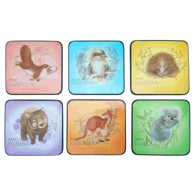 Coaster-6-Pcs-Boxed-Colourful-Animals