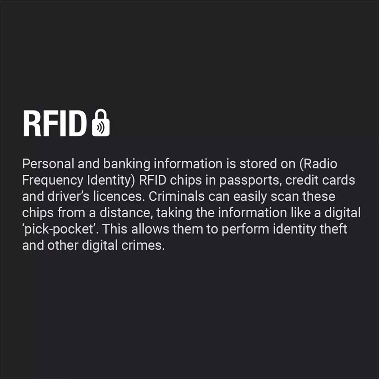 Go RFID Passport Pouch
