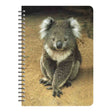 Notebook-Spiral-Koala