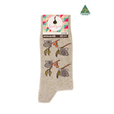 Socks-Mens-Koala-Eucalyptus-Grey-6-11-Front
