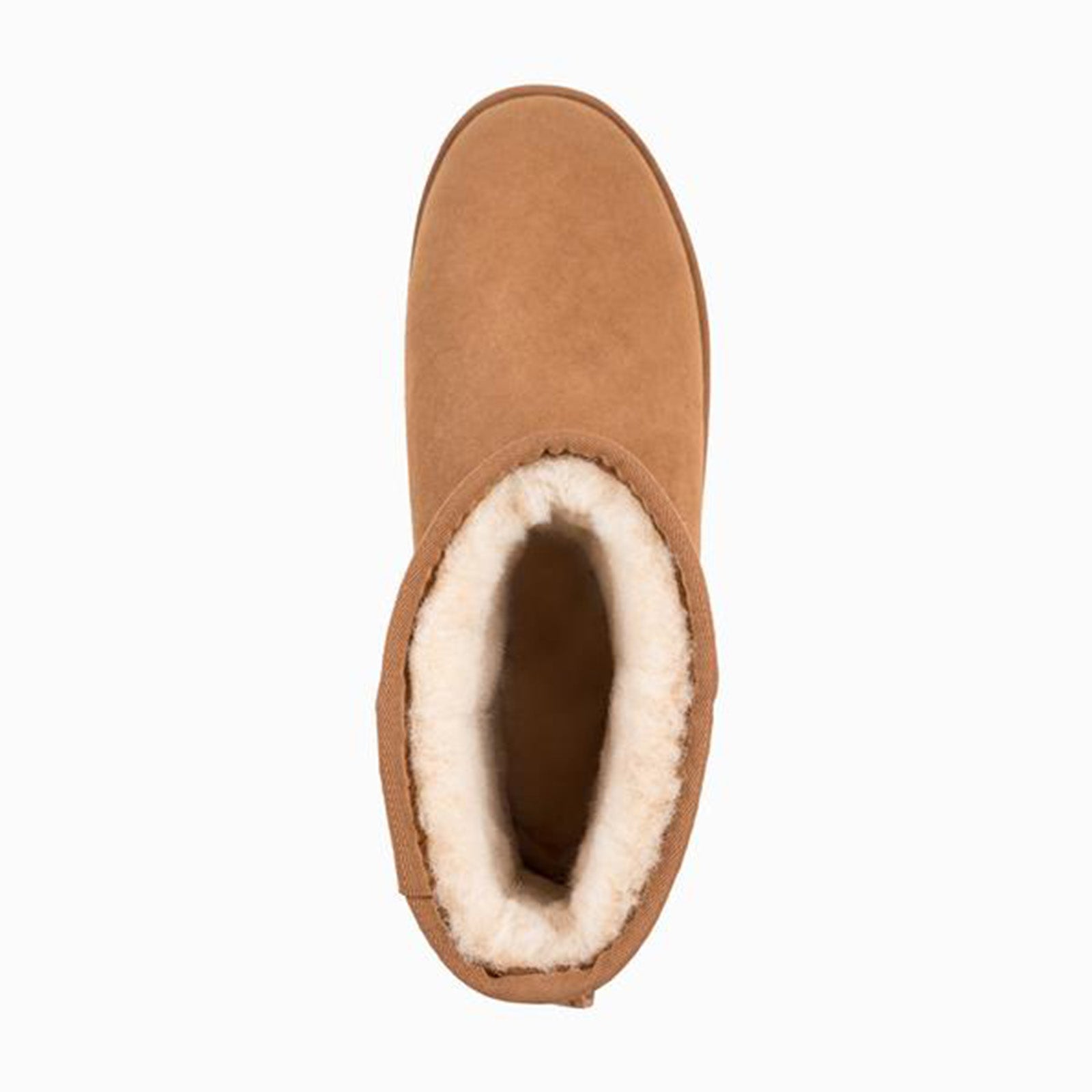 Ozwear UGG Boots Unisex Classic Mini Chestnut